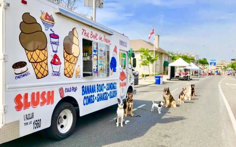 Ice Cream Truck Packages in Ottawa: What’s Included & How to Choose